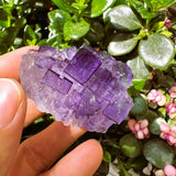 Grande (1.19 lbs.) Purple Flash Labradorite Freeform (Artículo n.º 0077)