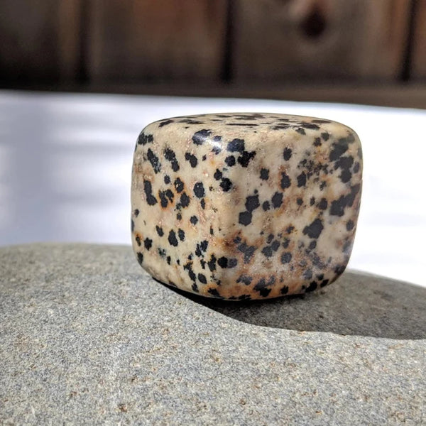 Dalmatian Stone Meaning And Spiritual Properties