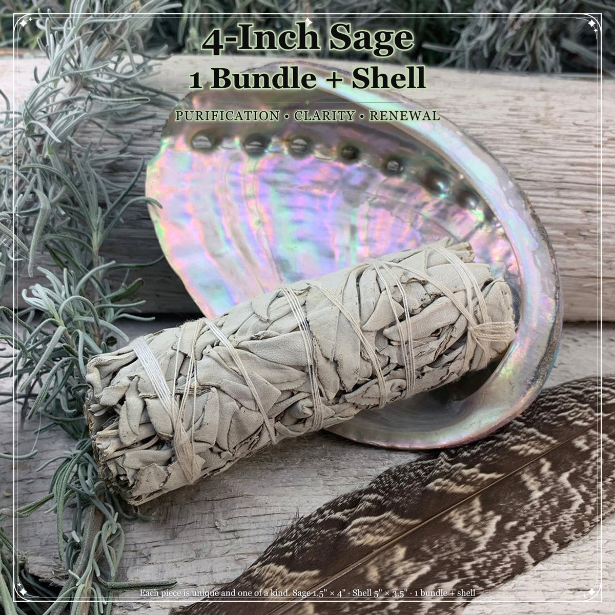 Leke Seti: Beyaz Adaçayı (4 İnç) + Abalone Kabuğu
