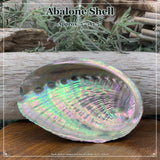 Abalone Shell