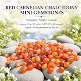 Rode Carneool Chalcedoon Mini Edelstenen (50 Gram / 1.7oz. Lot)