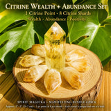 Manifesting Bundle 4-Pack