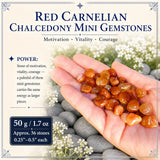 Rode Carneool Chalcedoon Mini Edelstenen (50 Gram / 1.7oz. Lot)