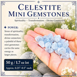 Celestite Mini Edelstenen (50 Gram / 1.7oz Lot)