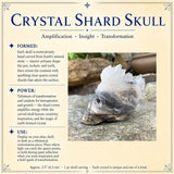 Cráneo de fragmento de cristal
