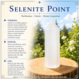 Set per purificazione della selenite da 3 pezzi