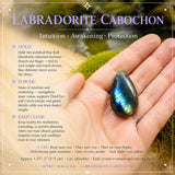 Labradorit Cabochon