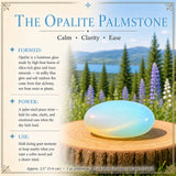$10 SALE TODAY ONLY! - Opalite Peace Bear & Palmstone Set