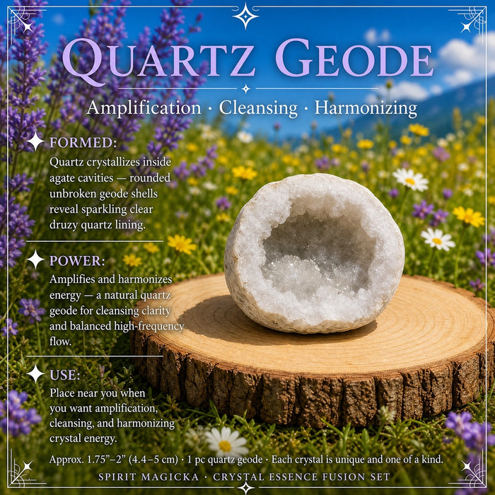 Open quartz geode with a sparkling white crystal-lined hollow