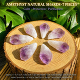 8-Piece Amethyst Point & Shards Set