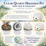 Animal de compagnie hérisson en cristal de quartz (ADOPTEZ-MOI S'IL VOUS PLAÎT) 🥰