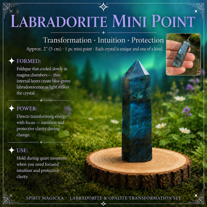 Labradorite mini point with blue flash standing on a wooden round