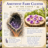 Ensemble de 7 cristaux d'éveil d'améthyste