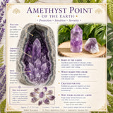 8-Piece Amethyst Point & Shards Set