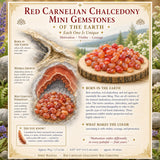 Rode Carneool Chalcedoon Mini Edelstenen (50 Gram / 1.7oz. Lot)