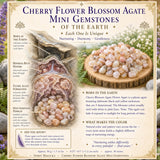 Cherry Flower Blossom Agate Mini Edelstenen (50 Gram / 1.7oz. Lot)