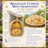 Braziliaanse Citrien Mini Edelstenen (50 Gram / 1.7oz. Lot)