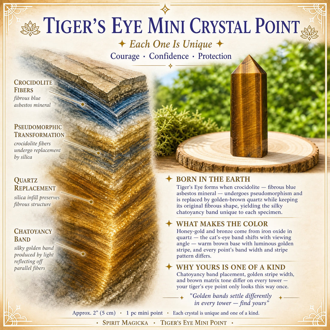 Illustrated guide to how tiger's eye forms its golden fibrous bands in the earth, beside a tiger's eye point standing on a wood slice