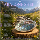 Set di cristalli di protezione + salvia + conchiglia di abalone