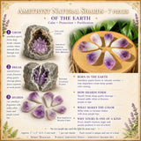 8-Piece Amethyst Point & Shards Set