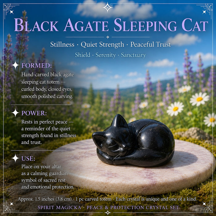 Polished black agate cat carving curled up asleep with its eyes closed