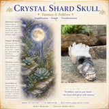 Cráneo de fragmento de cristal