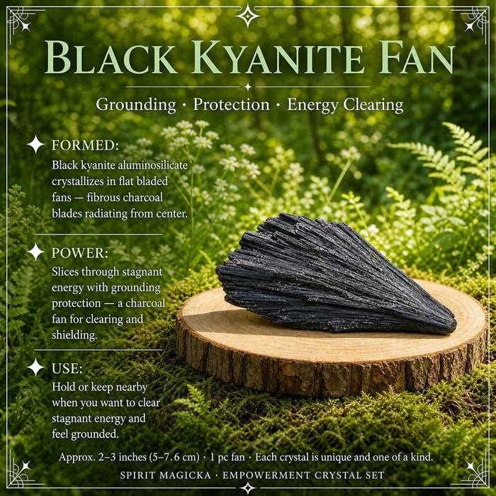 A charcoal black kyanite fan of radiating blades on a wood slice