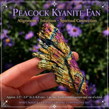 42-delige Crystal Collectors-bundelset 👉 BESPAAR 75%
