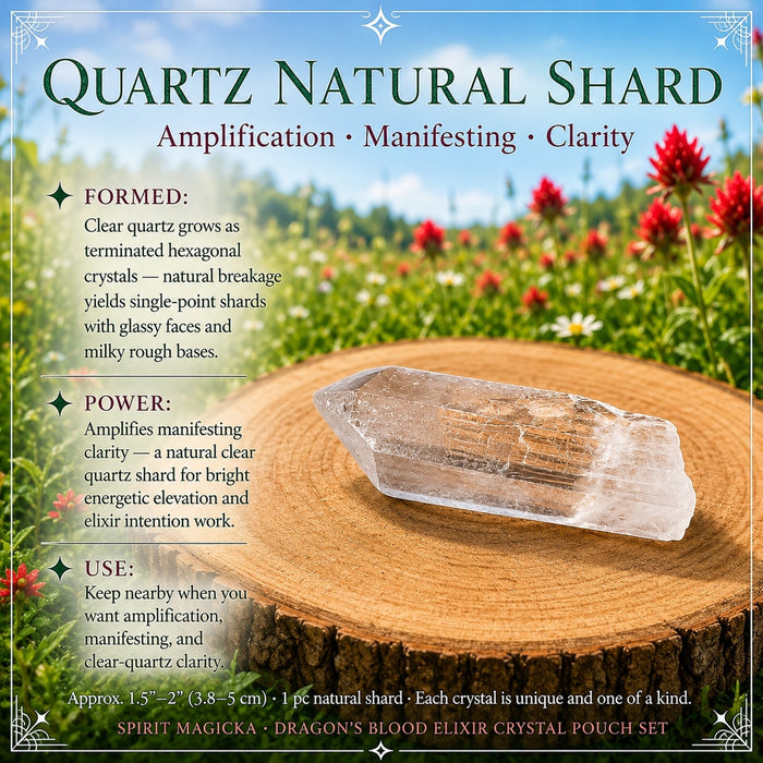 Clear quartz natural shard with a pointed tip on a wood slice