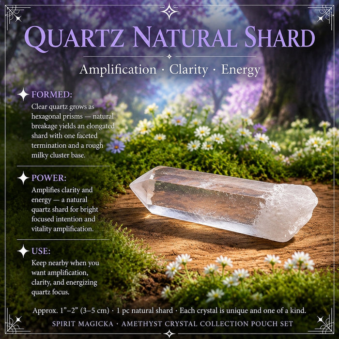 Clear quartz shard with one faceted tip and a milky rough base on a path