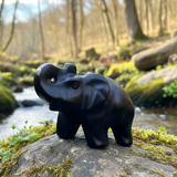 Crystal Animal Spirit Totems: Black Agate Elephant