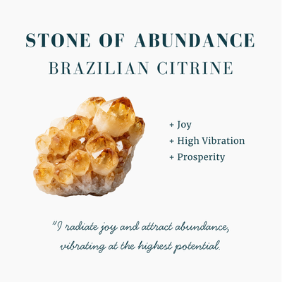 Citrine & Sliver "Abundance" Stud Earrings