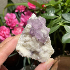 Grande (1.67 lbs.) Purple Flash Labradorite Freeform (Artículo n.º 1017)