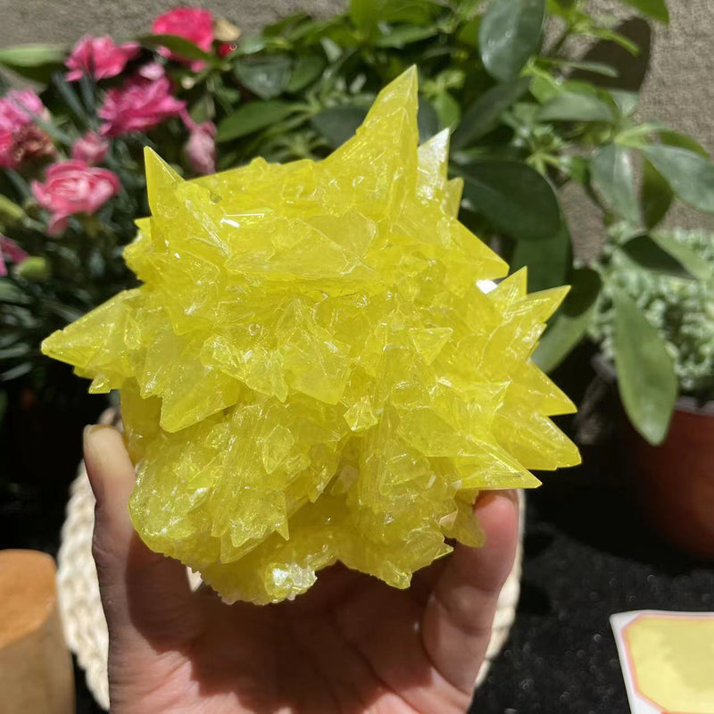 Sulphur Crystal (410 grams)  (Item #1035)