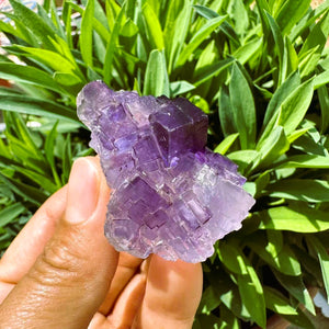 Grande (1.19 lbs.) Purple Flash Labradorite Freeform (Artículo n.º 0077)