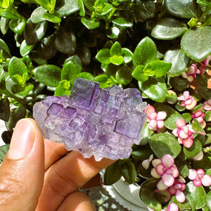 Grande (1.19 lbs.) Purple Flash Labradorite Freeform (Artículo n.º 0077)