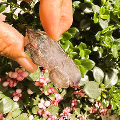 Μεγάλο (1,19 λίβρες) Μωβ Flash Labradorite Freeform (Είδος #0077)