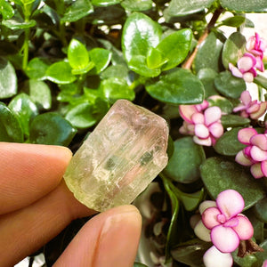 Grande (1.19 lbs.) Purple Flash Labradorite Freeform (Artículo n.º 0077)