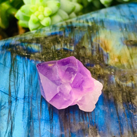 Never Too Much Amethyst Water Bottle & Crystal Bundle  - 70% Off