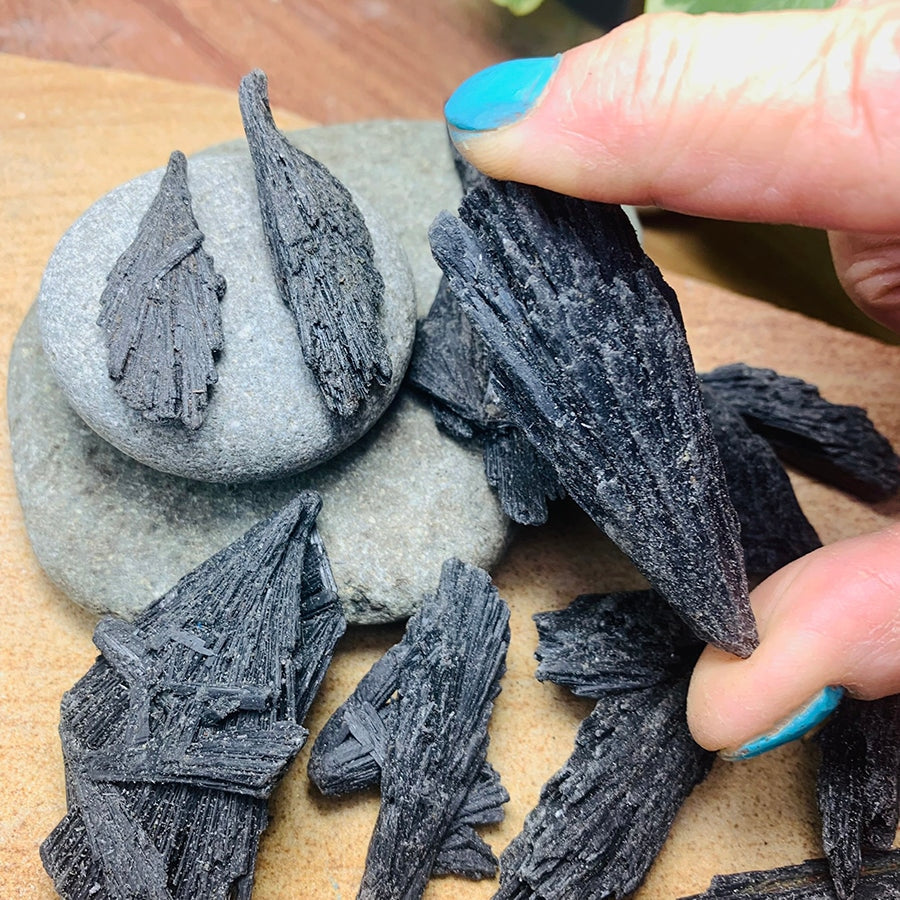 Fingers holding a black kyanite fan by its tip above more fans resting on grey river stones