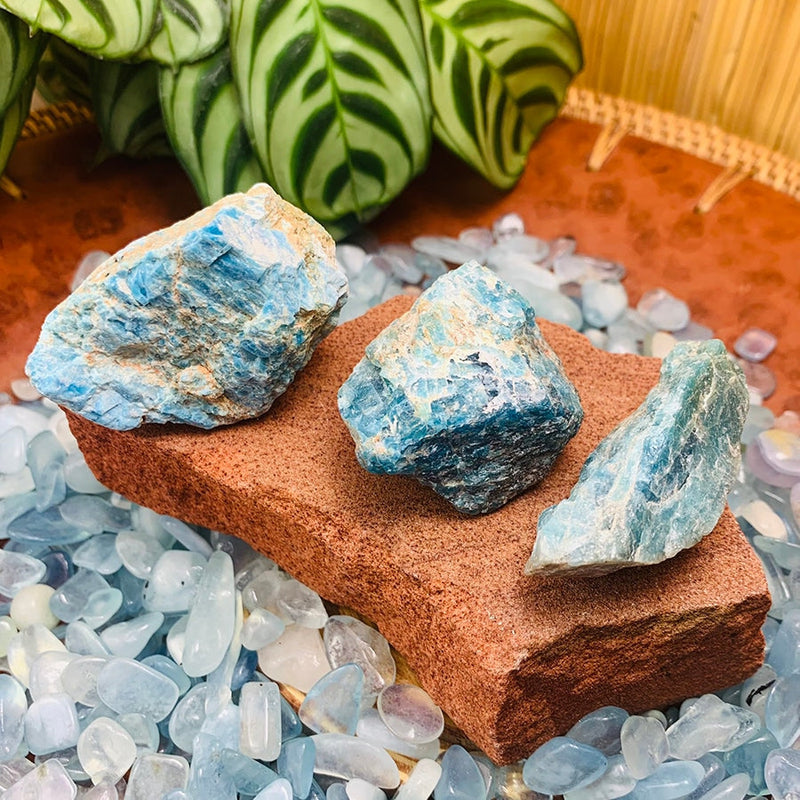 ARRON Blue Apatite Rough Stone - rawstone