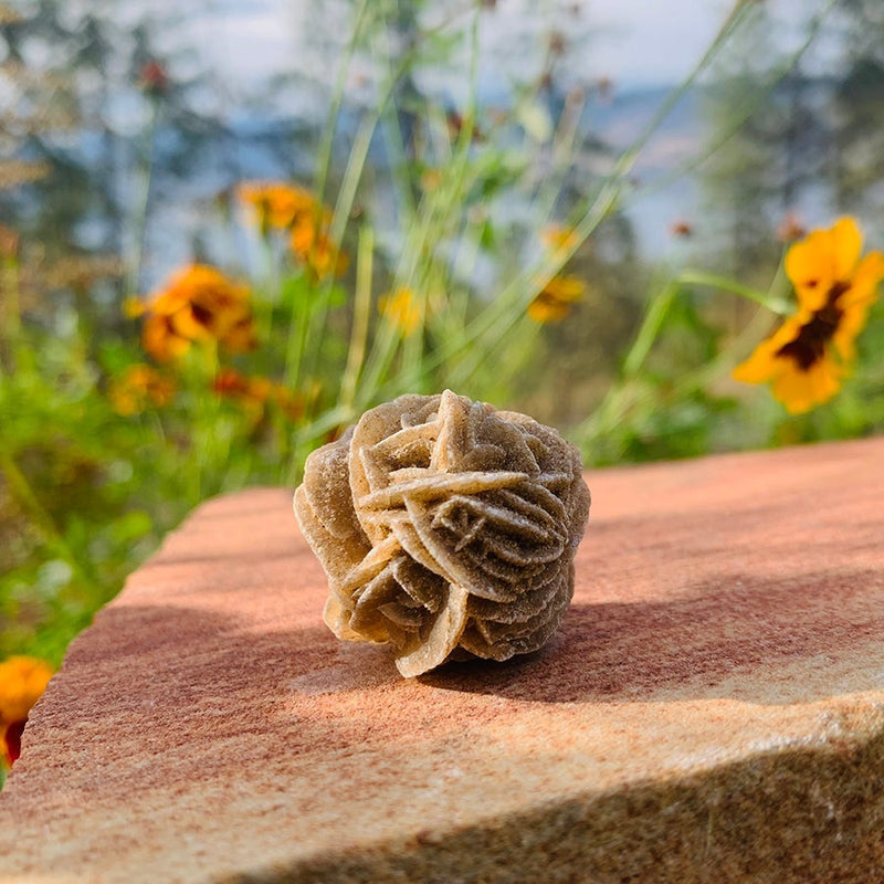 ARRON Desert Rose Specimen - rawstone