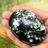 Agate mousse verte Palmstone