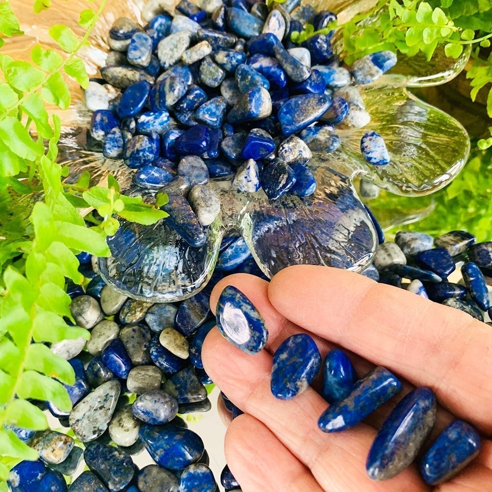 Blue lapis lazuli mini gemstones with gold pyrite flecks resting on fingertips beside a glass dish among ferns