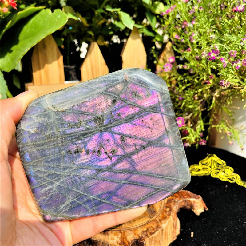 Large (1.28 lbs.) Purple Flash Labradorite Freeform (Item #0087)