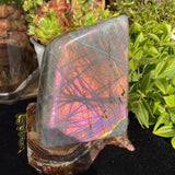 Large (2.87 lbs.) Purple Flash Labradorite Freeform (Item #0097)