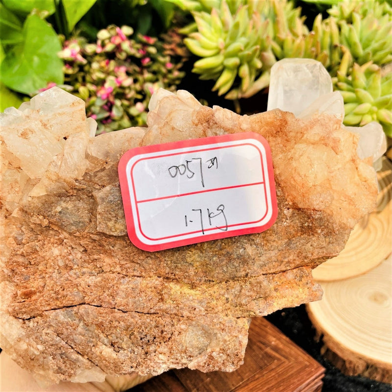 Large (3.75 lbs) Freeform Quartz Shard (Item #0057)