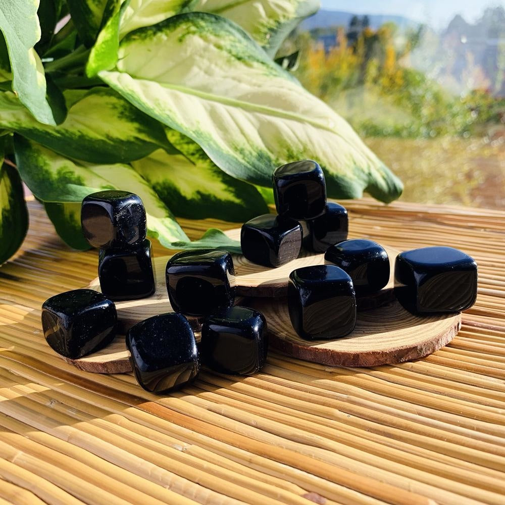 Glossy jet-black obsidian tumbled cubes on wood slices in sunlight beside a leafy plant