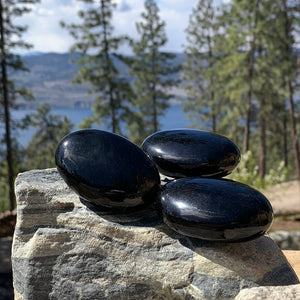 Obsidian palmesten