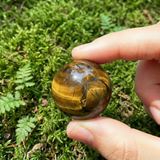 ✨ Tiger's Eye Super Sale Promo Mini Set ✨